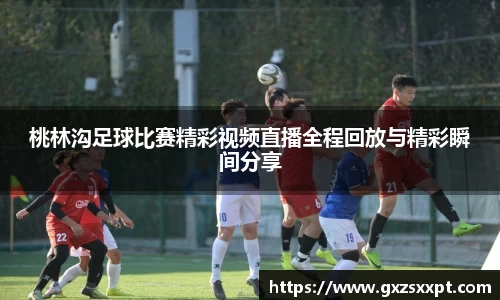 桃林沟足球比赛精彩视频直播全程回放与精彩瞬间分享