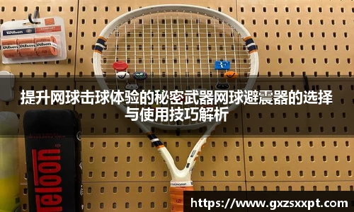 提升网球击球体验的秘密武器网球避震器的选择与使用技巧解析