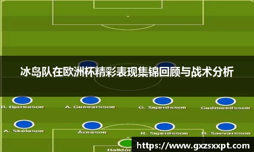 冰岛队在欧洲杯精彩表现集锦回顾与战术分析